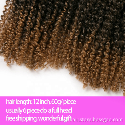bug crochet braids hair 60g/pack synthetic 12 inch curly Braid ombre braiding hair extentions brown,black,afro curl marley braid